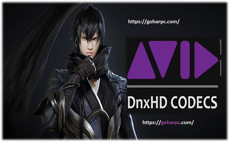 Avid Codecs 2.7.6 With Full Version Free Download [Latest]