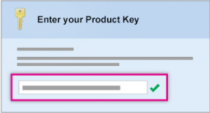 Microsoft Office Professional Plus 2007 Product Key